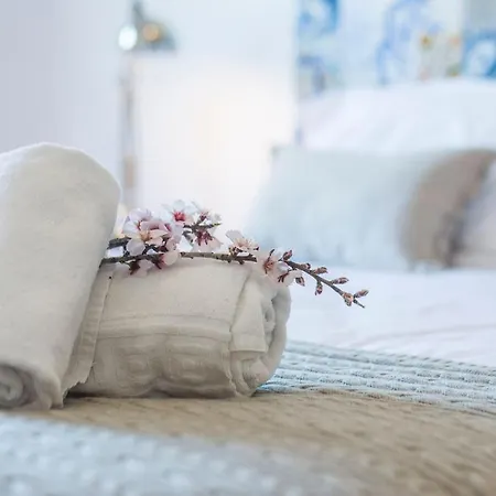 Rita シルヴェス